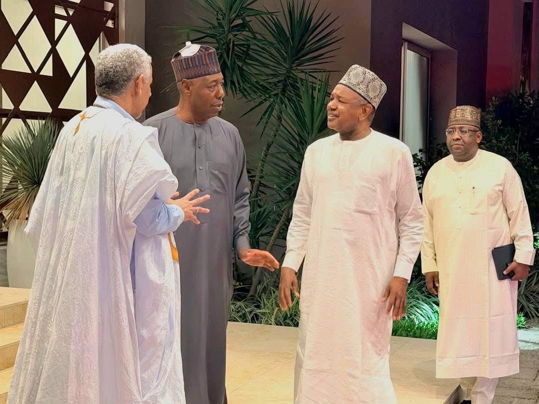 Zulum Seeks AfDB Partnership to Drive Borno's Post-Conflict Recovery